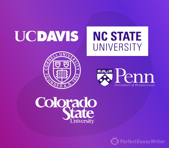 Top Best Veterinary Schools in the U.S. (2026 Edition)